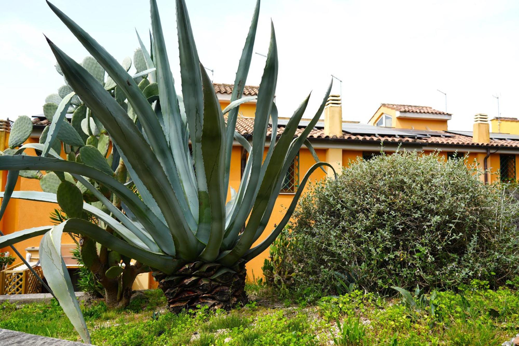 Jannuzzi House Villa Trevignano Romano Buitenkant foto